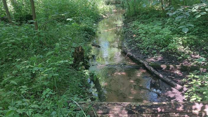 Wanderung im Oderbruch, wild und schön