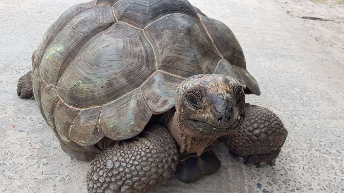 Meine neue Freundin Lisa