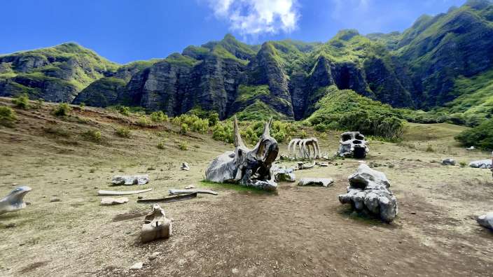 Kualoa - Ranch / Drehort Jurassic Park