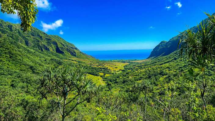 Kualoa - Ranch / Drehort  Jumanji
