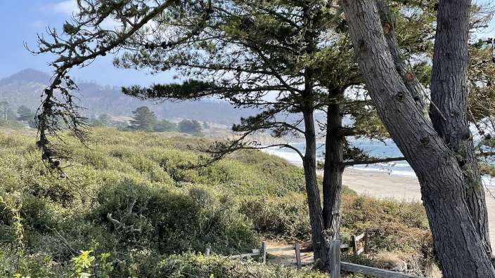 Wanderung zu den Seeelefanten 