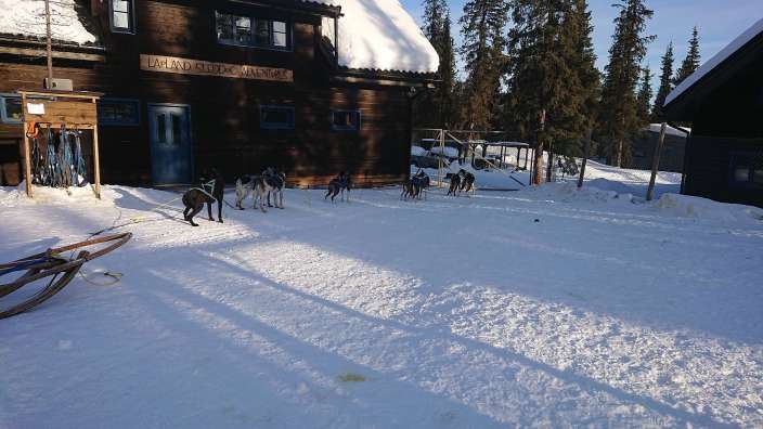 Hundeschlitten-Tour