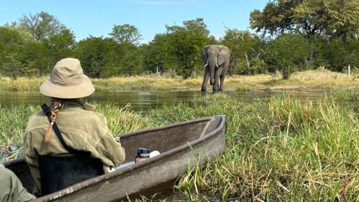Lilly Brochhaus in Botwsana: Tierbeobachtungen