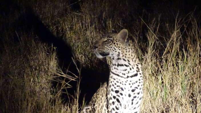 My dream has come true!