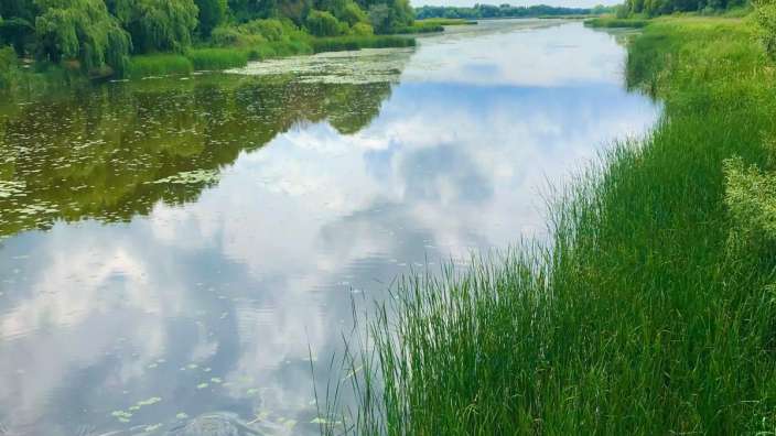 Sumpfflächen und Wasserstellen 