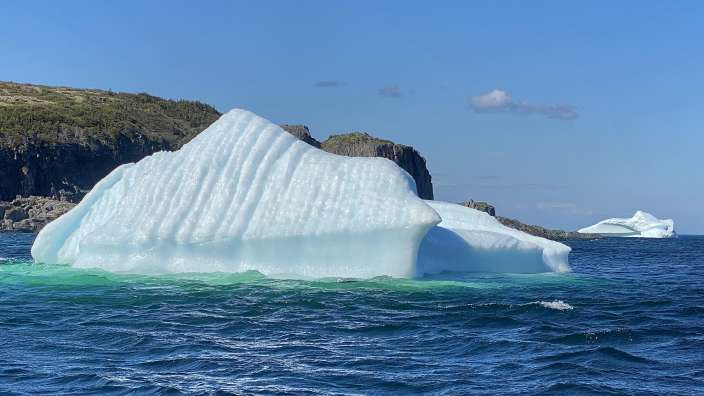 Bootstour Dark Tickle Company