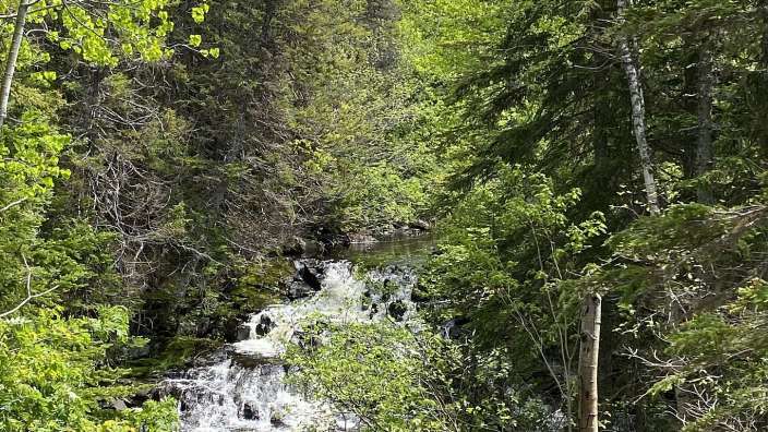 Wilson Falls bei Boyd's Cove auf der Fahrt nach Grand Falls