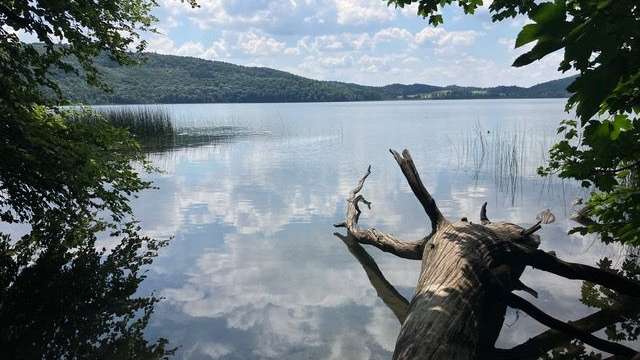 Naturjuwel Laacher See