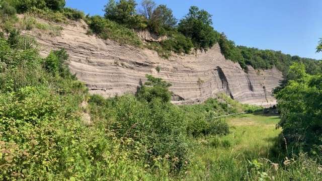 Wingertsberger Wand - 60 m hohe Vulkanablagerungen
