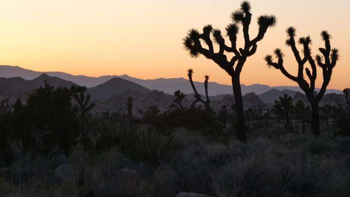 Sunset in Joshua Tree (before star-gazing)
