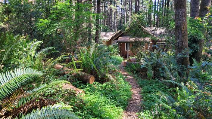 Wild Spring Guest Habitat (Port Orford)
