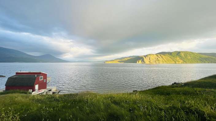 Norris Point (Blick von Unterkunft Neddies Harbour Inn)