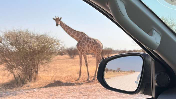 Etosha
