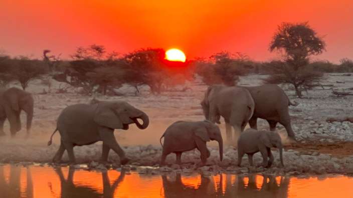 Okaukuejo Wasserloch 