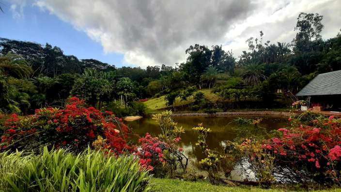 Aussicht von Frühstücksraum der Lakaz Chamarel Lodge 