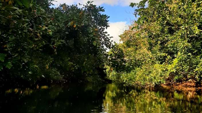 Kanufahrt bei Flic en Flac 