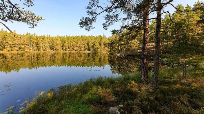 See im Tivedens Nationalpark in Schweden