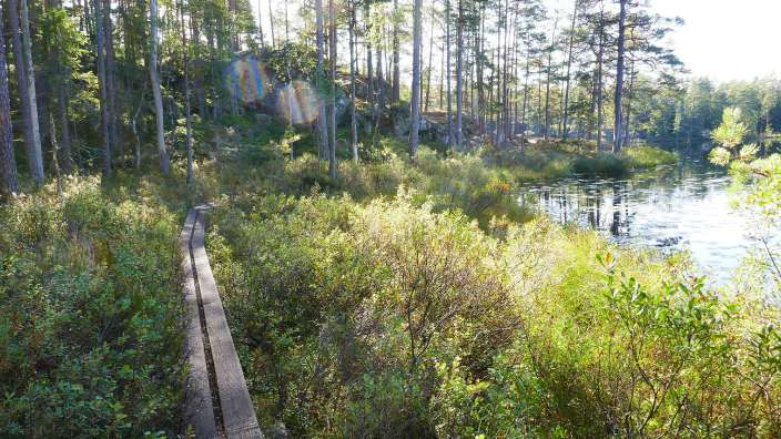 Tiveden Nationalpark