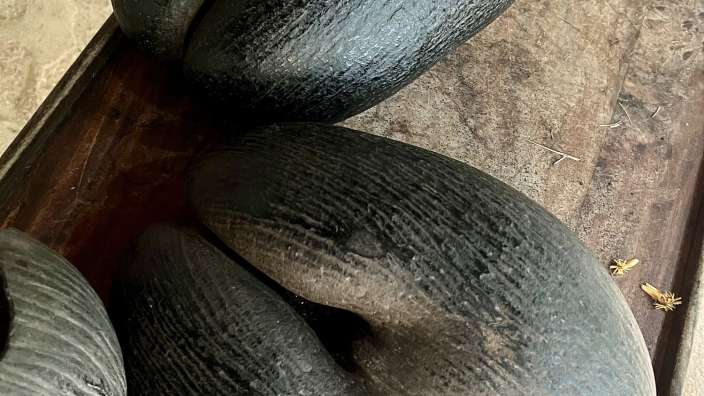 Das Heiligtum - die Coco de Mer