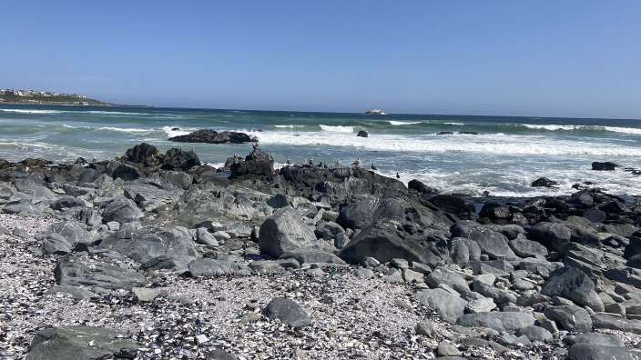Strand am Cape Columbine Natur Reserve