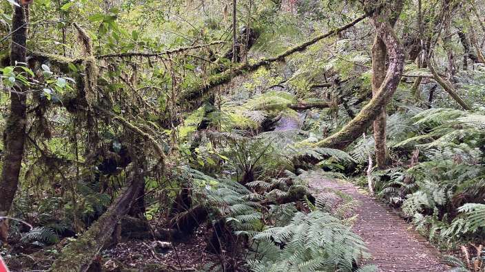 Wanderweg Woodcuttertrail