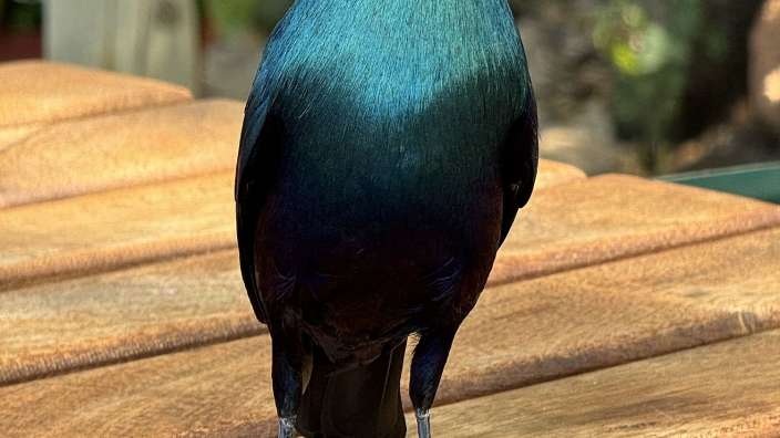 Welche Farben! In Ndhovu.