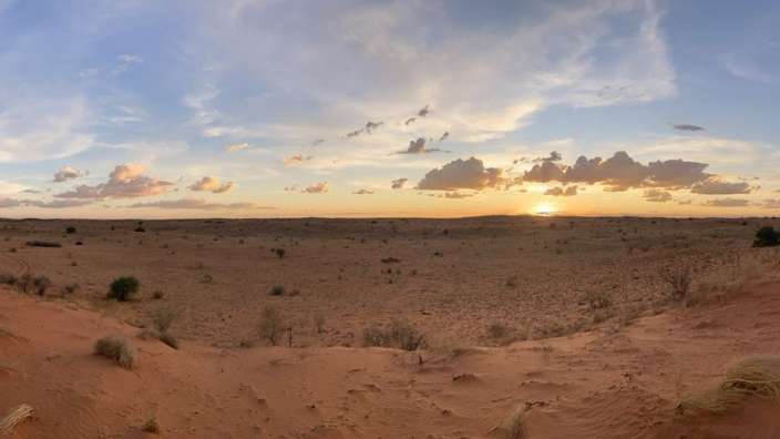 In der Kalahari sind sogar die Wolken rötlich