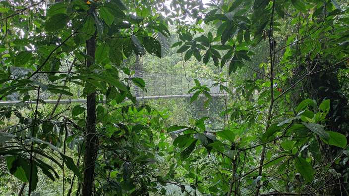 im Mistico Park in La Fortuna