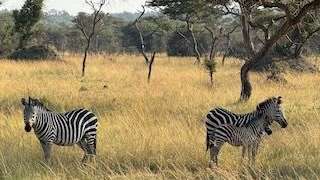 Lake Mburo National Park