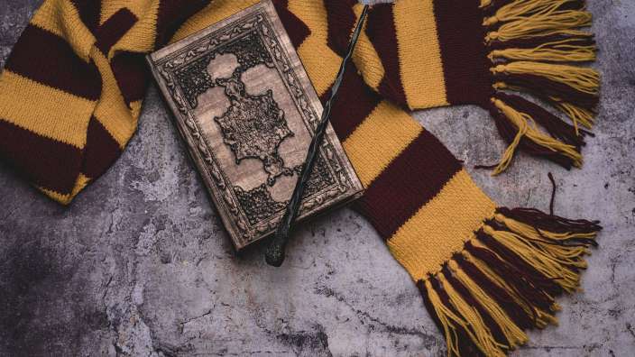 Schal und Zauberstab von Harry Potter