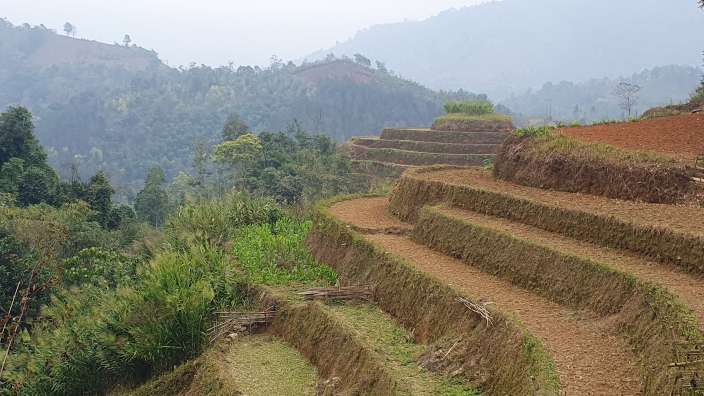 Ha Giang Reisterrassen
