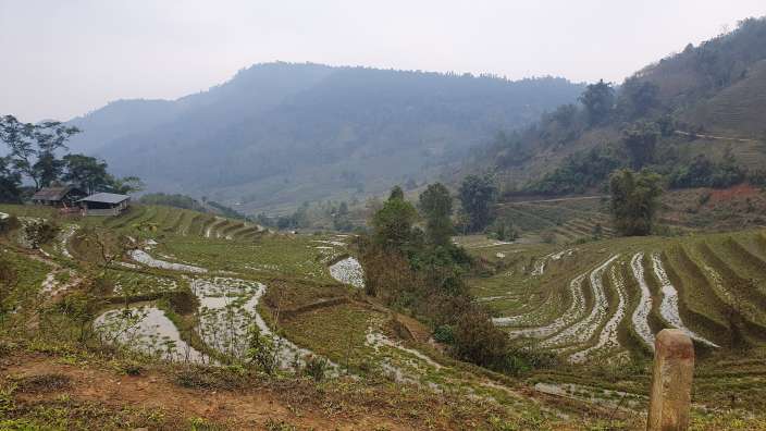 Sapa Reisterrassen