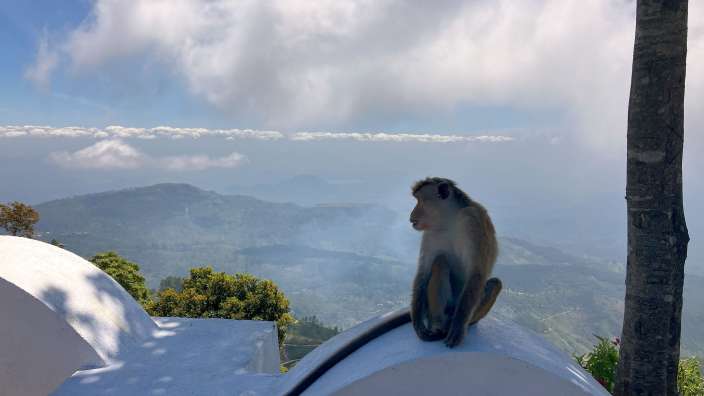 Weitblick vom Liptons Seat