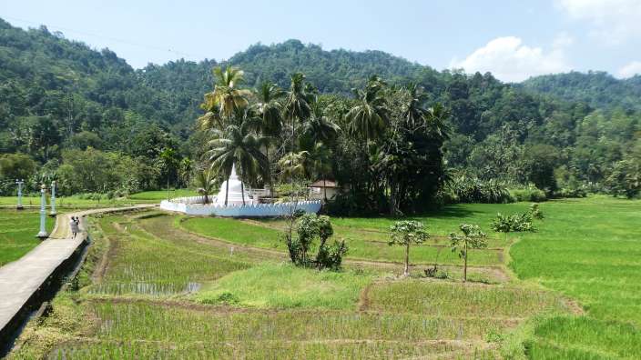 Einer der zahllosen Tempel unterwegs