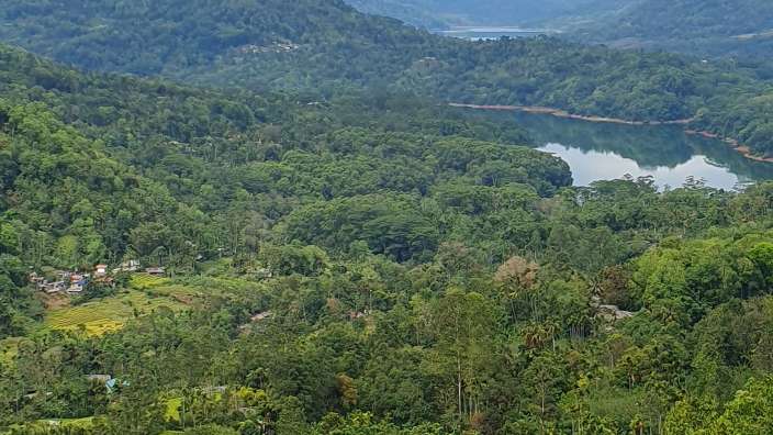 Dschungel bei Sigiriya