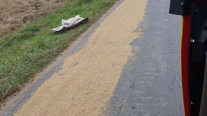 So wird Reis getrocknet - einfach auf der Straße!