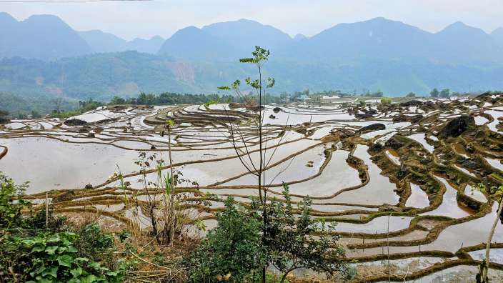 Reisfelder in den Bergen von Pu Luong