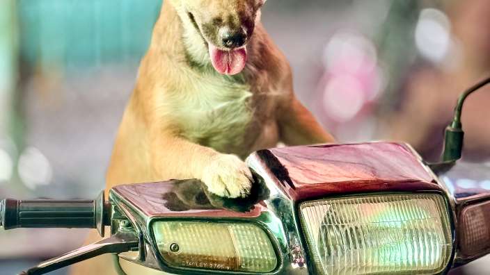 Auf einem Markt in Saigon