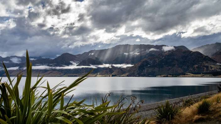Hawea / Otago