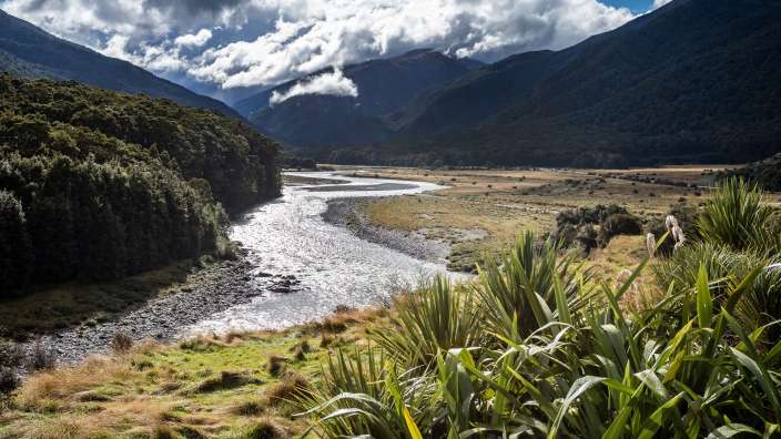 Haast Pass Makarora Rd