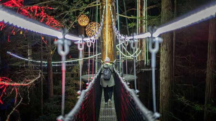 Rotorua / Redwoods Treewalk