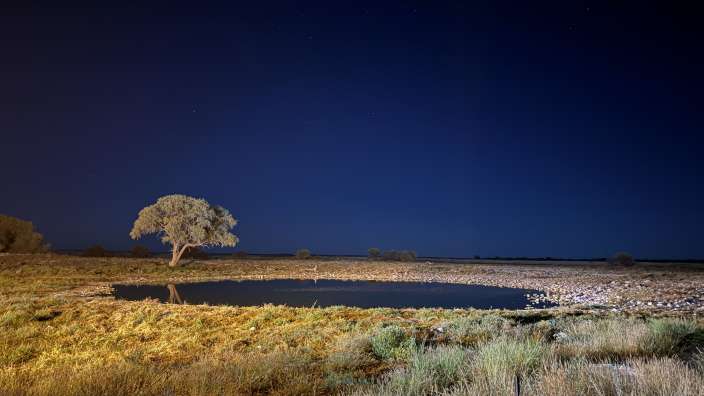 Wasserloch im Etosha Park