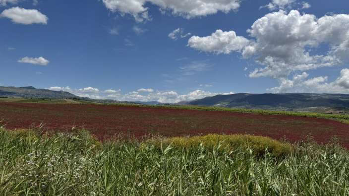 Wunderschöne Landschaften im Landesinneren