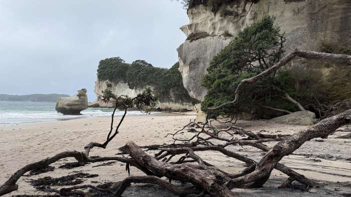 Coromandel Halbinsel