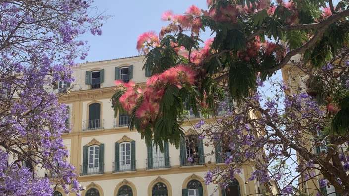 Malaga Plaza de la Merced