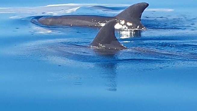 im Hotel bei Golfito