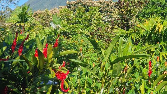 Blick vom Hotelzimmer auf den Arenal Vulkan