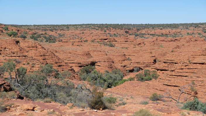 Kings Canyon - auf dem Spaziergang zum Canyon