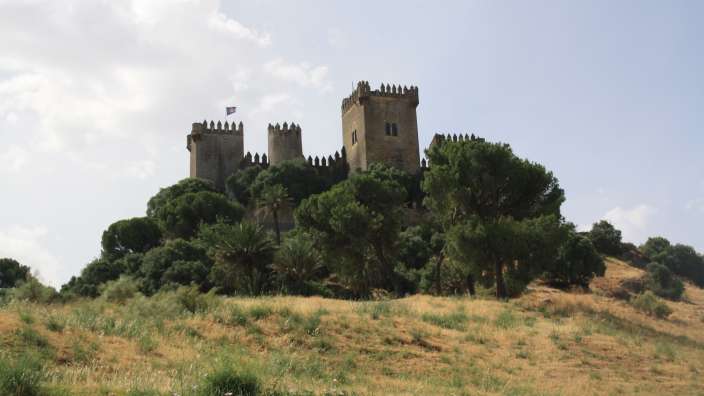 Games of Thrones lässt grüßen - Almodovar