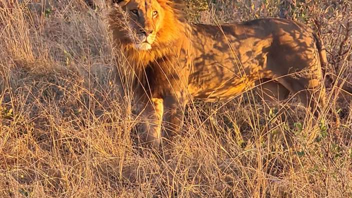 Hwange National Park